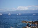 Regata de vela