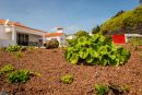Casa da Vigia T2 - jardim