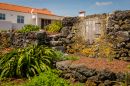 Casa da Vigia T2 - jardim